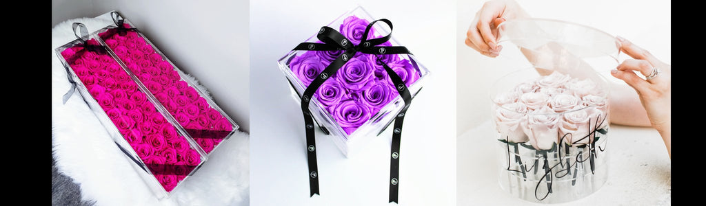 Infinity Roses Collection - Preserved Roses that Last a Year