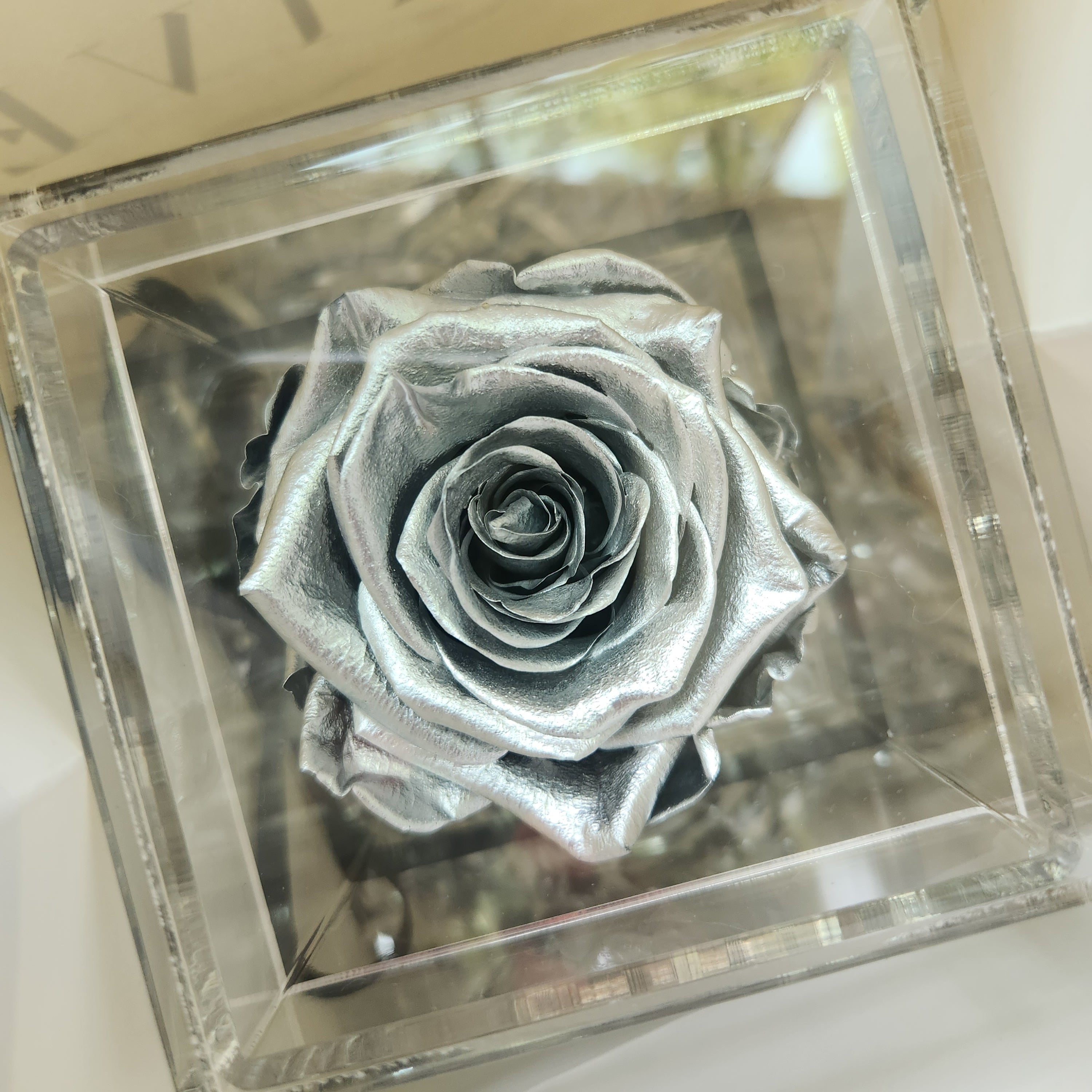 Sarasota Single Preserved Rose in a Box