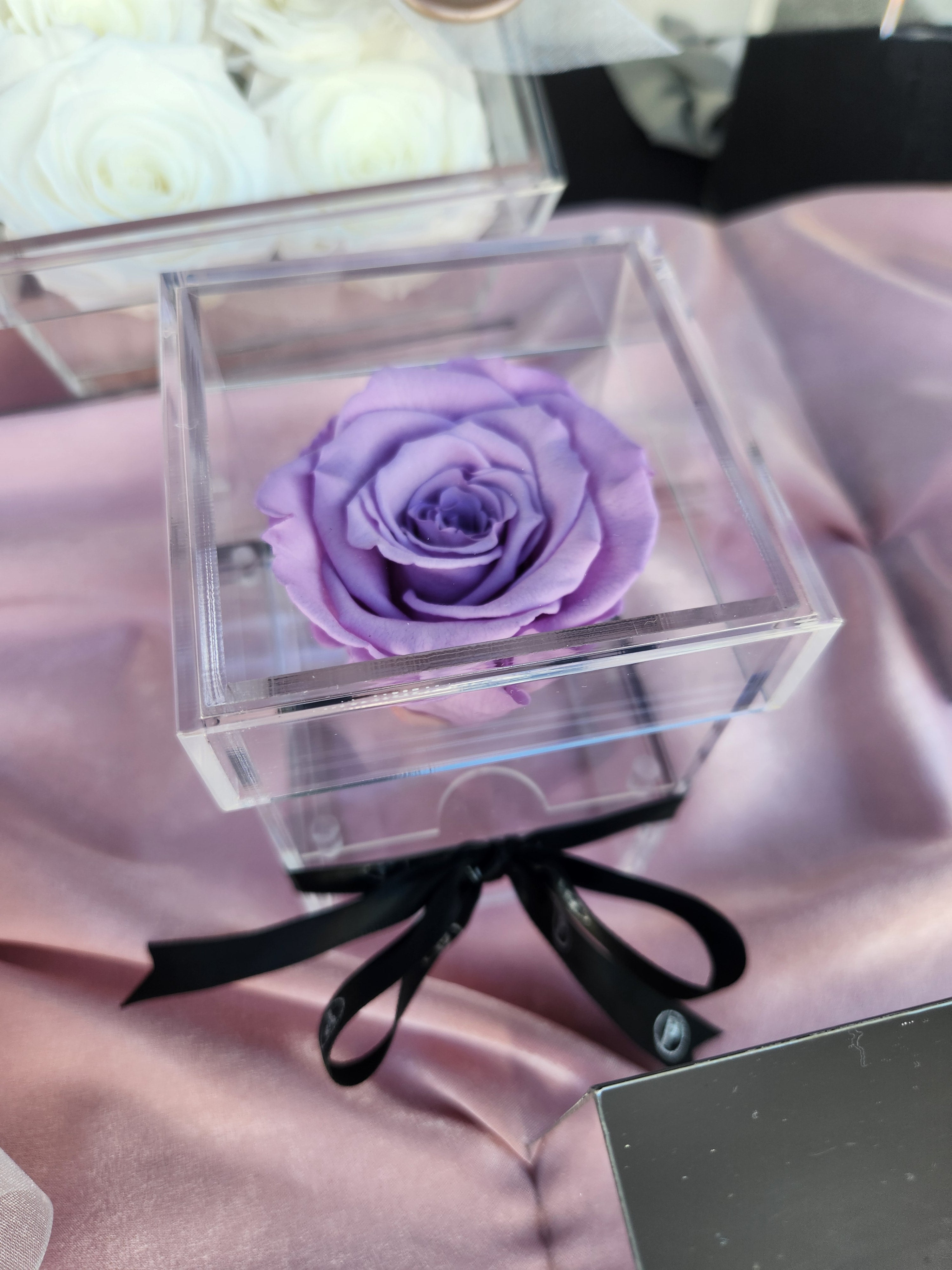 Sarasota Single Preserved Rose in a Box