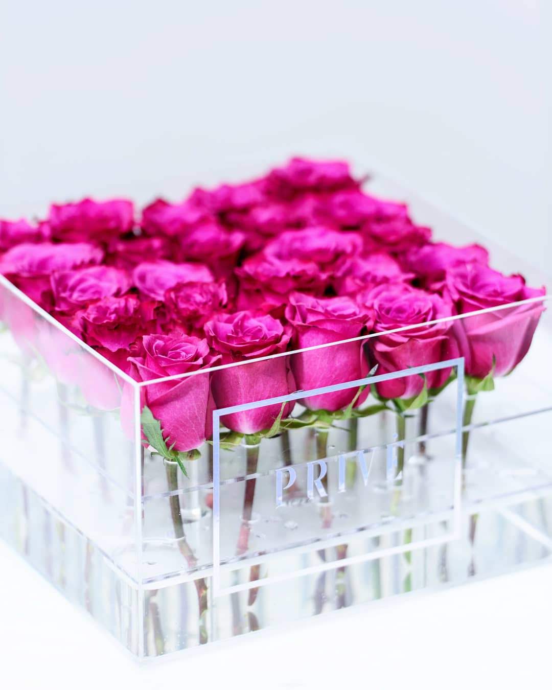 SRQ Modern Preserved | 25 Infinity Roses and Stems