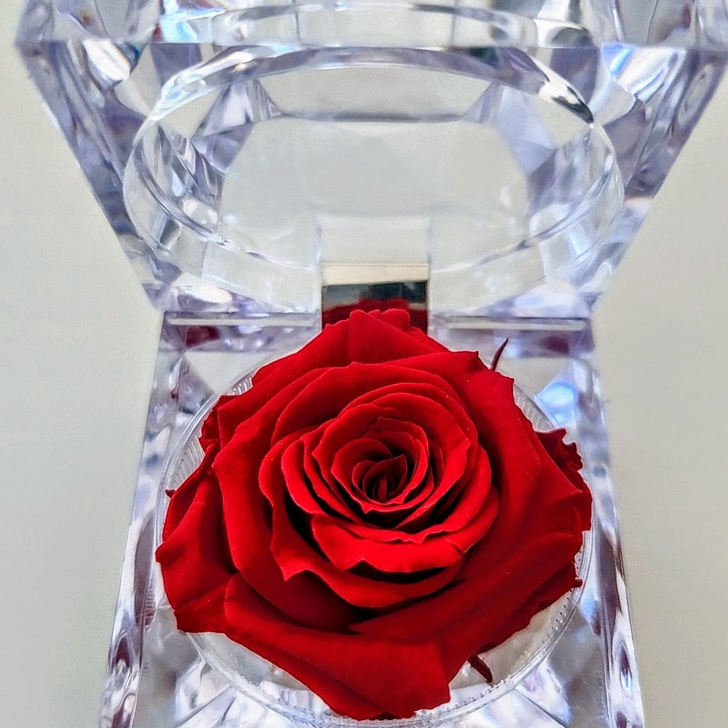 Engagement Mini Preserved Rose in Proposal Box