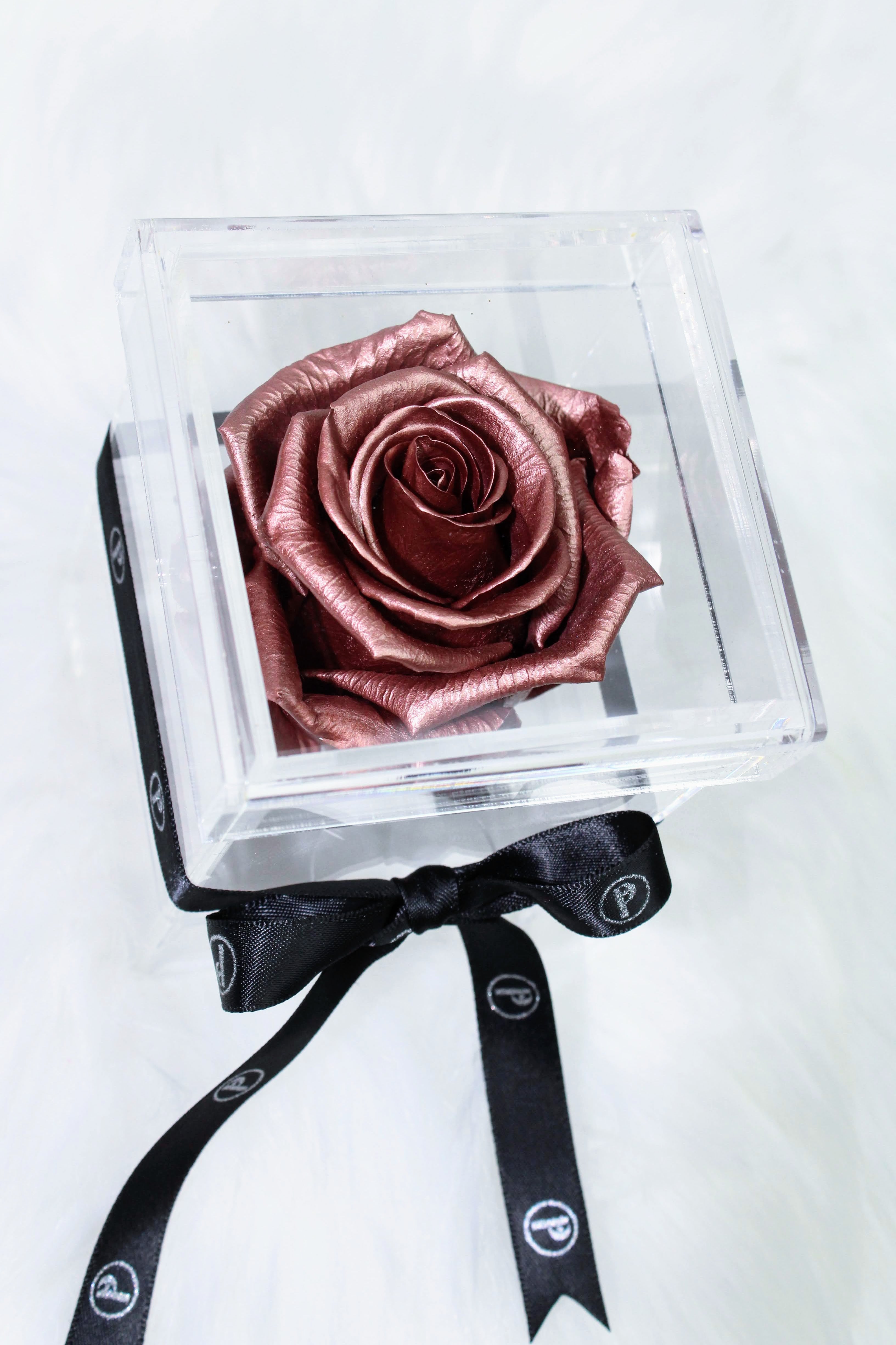 Sarasota Single Preserved Rose in a Box