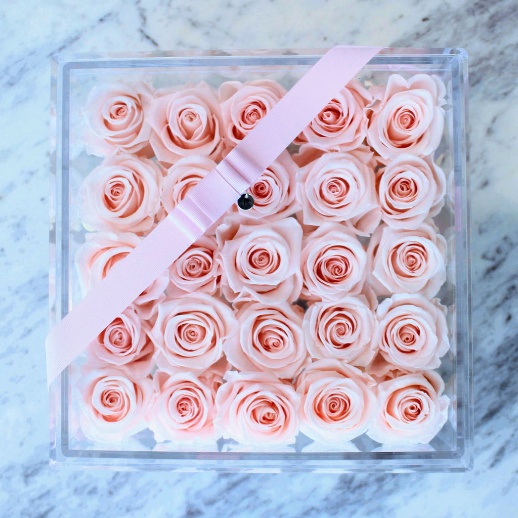 SRQ Modern Preserved | 25 Infinity Roses and Stems