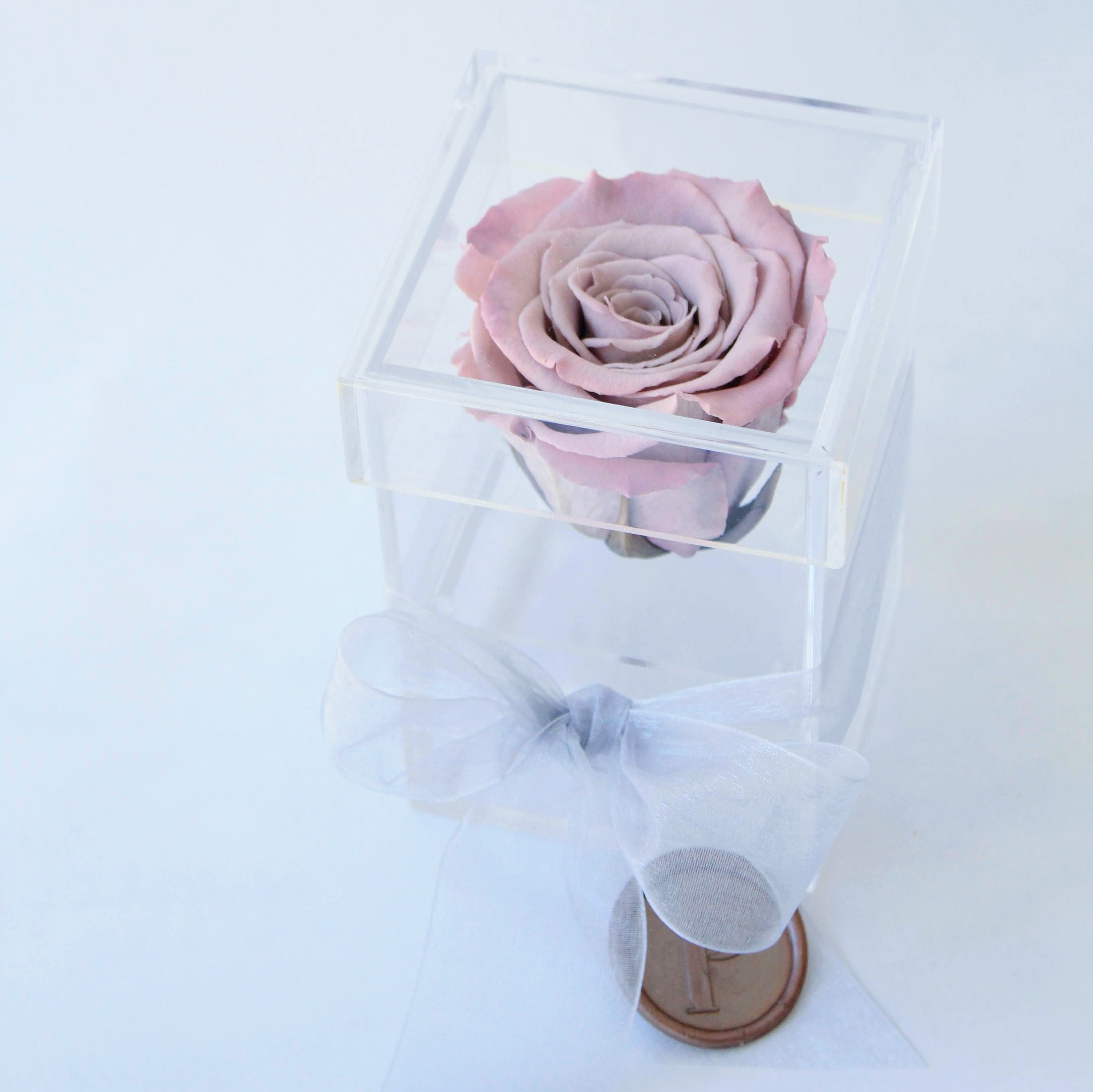 The Chloe | Single Preserved Rose in a Box