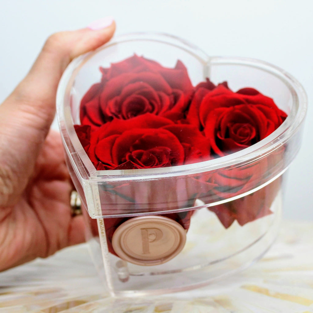 Heart-Shaped Acrylic Box of 3 Infinity Roses