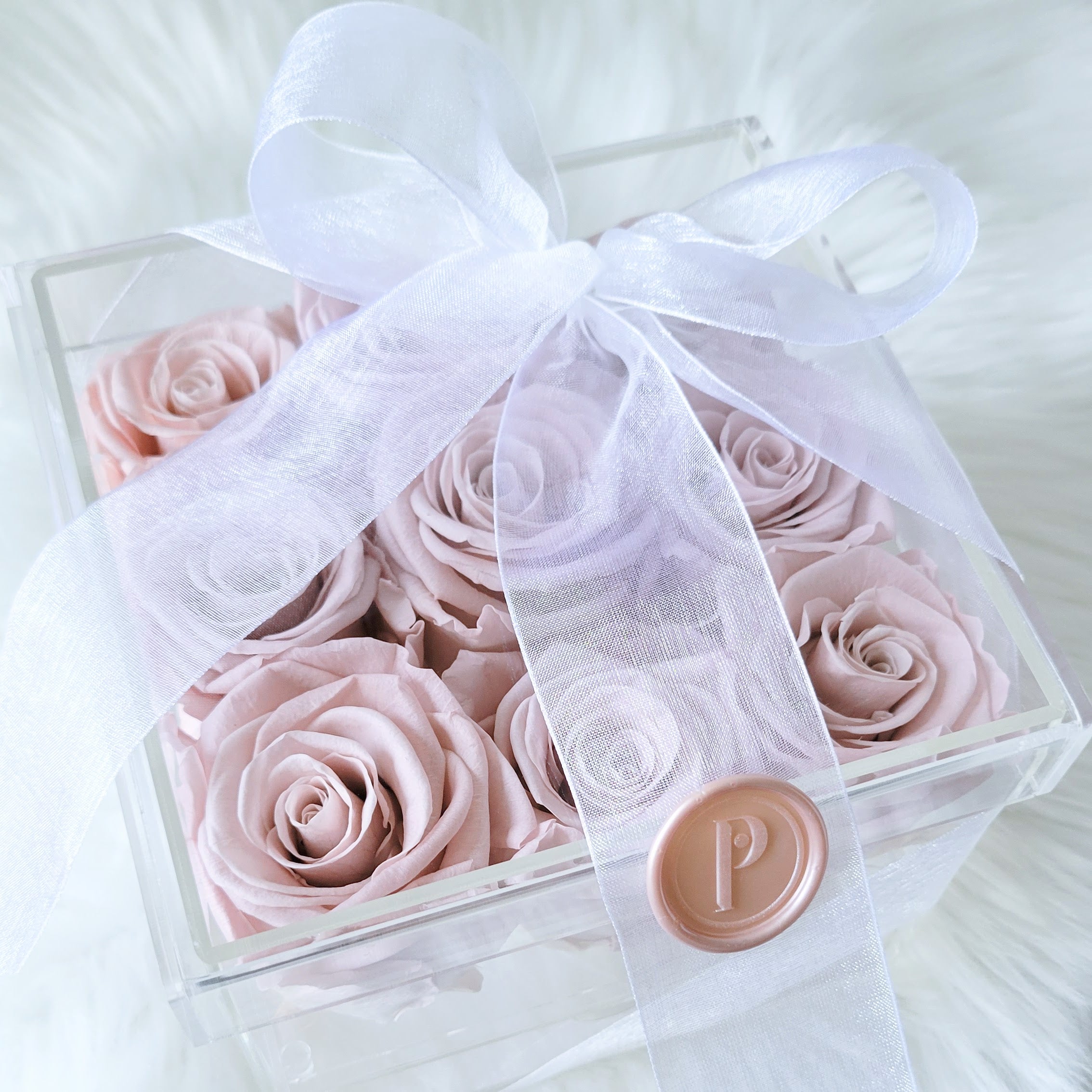 NV9 Box of Infinity Roses for Delivery in Sarasota, FL