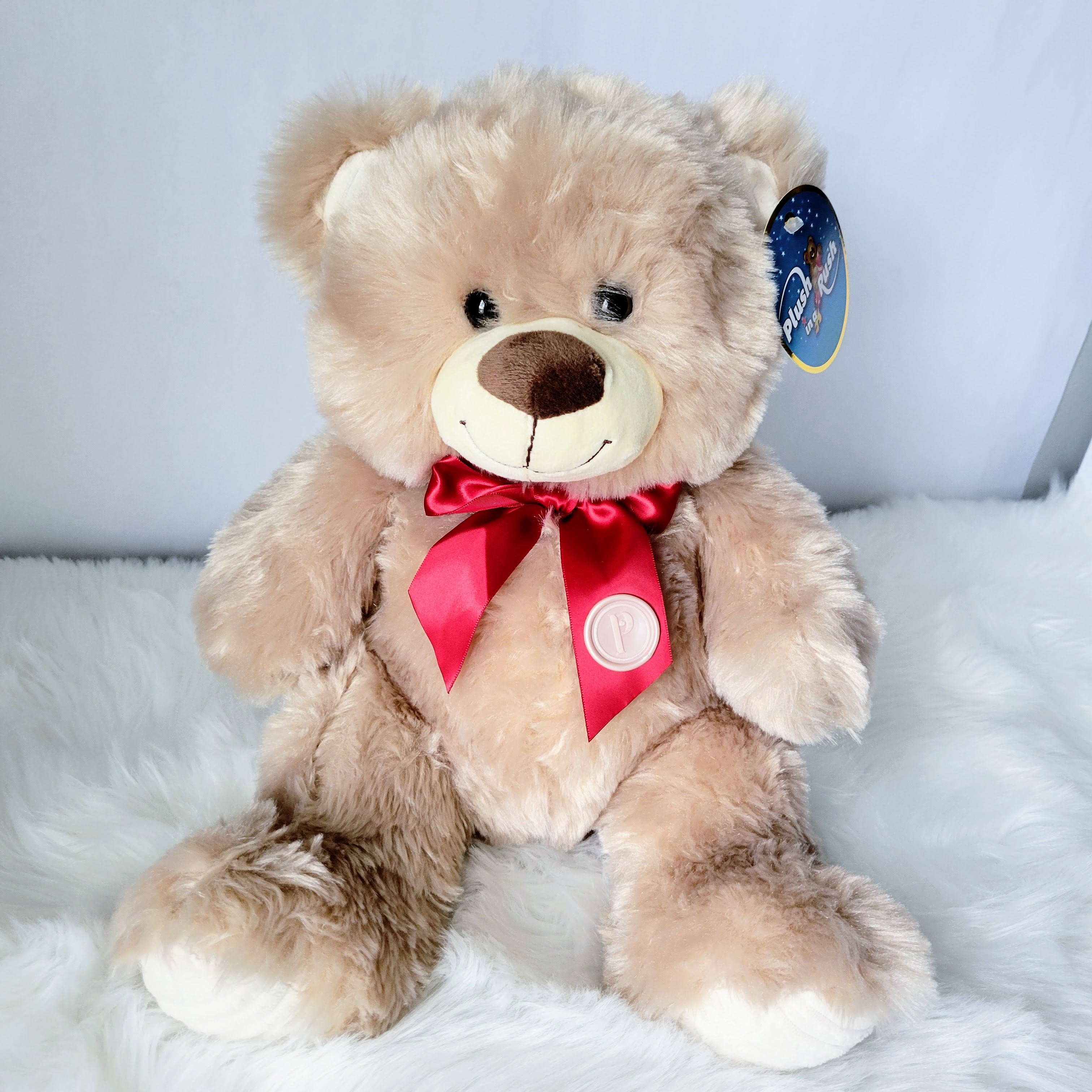 Beary Plush | The Stuffed Animal Companion
