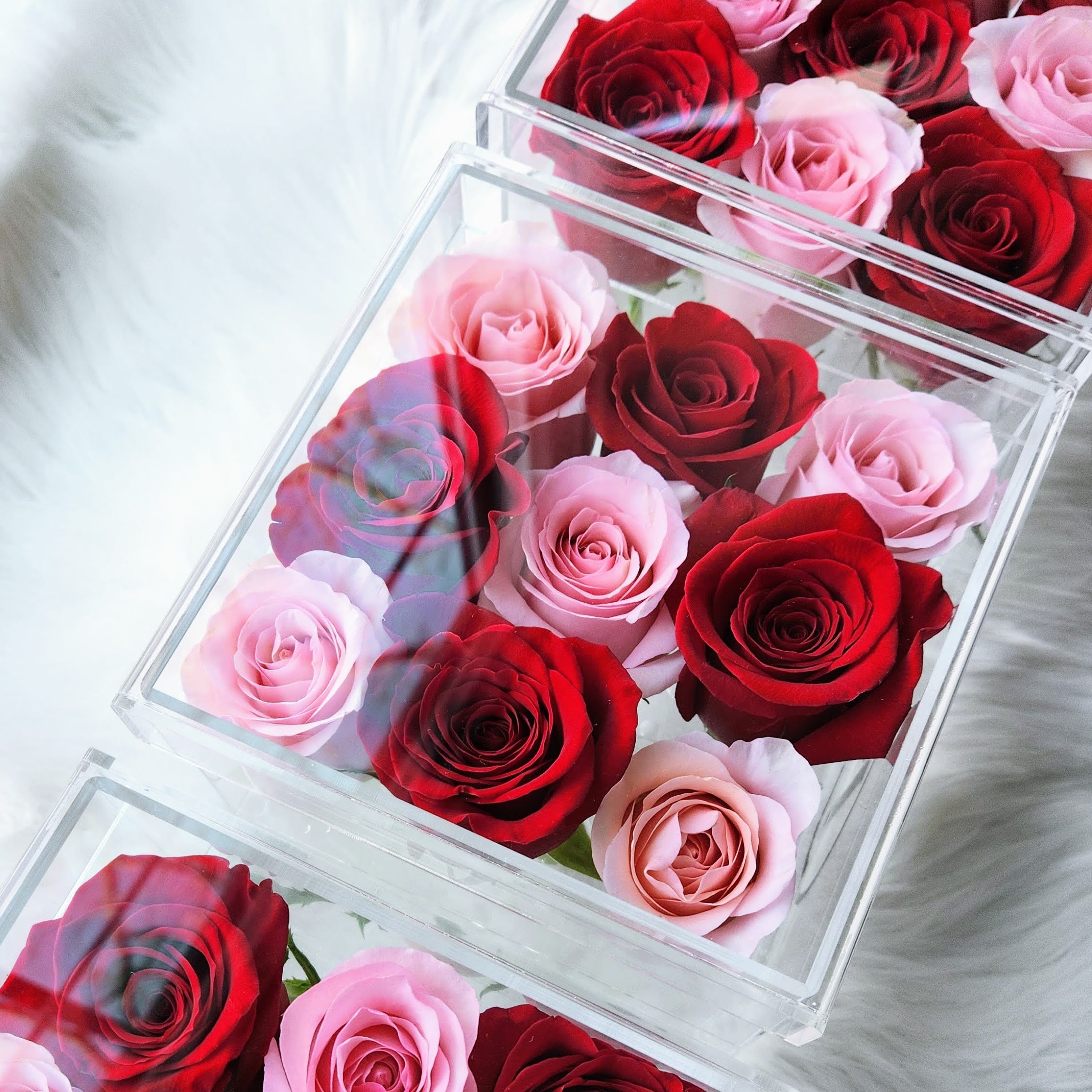 Petite Box of Fresh-Cut Roses for Delivery in the Sarasota, FL Area