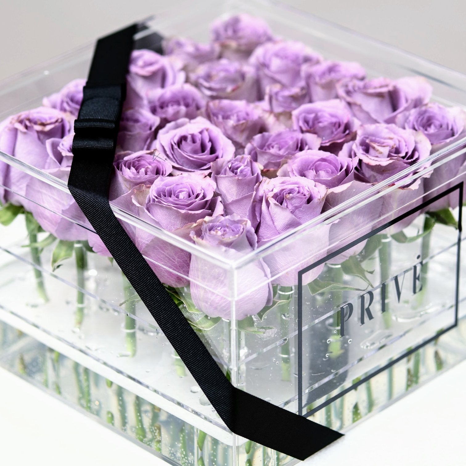 SRQ Modern Box | 25 Fresh-Cut Red Roses in a Square Acrylic Box
