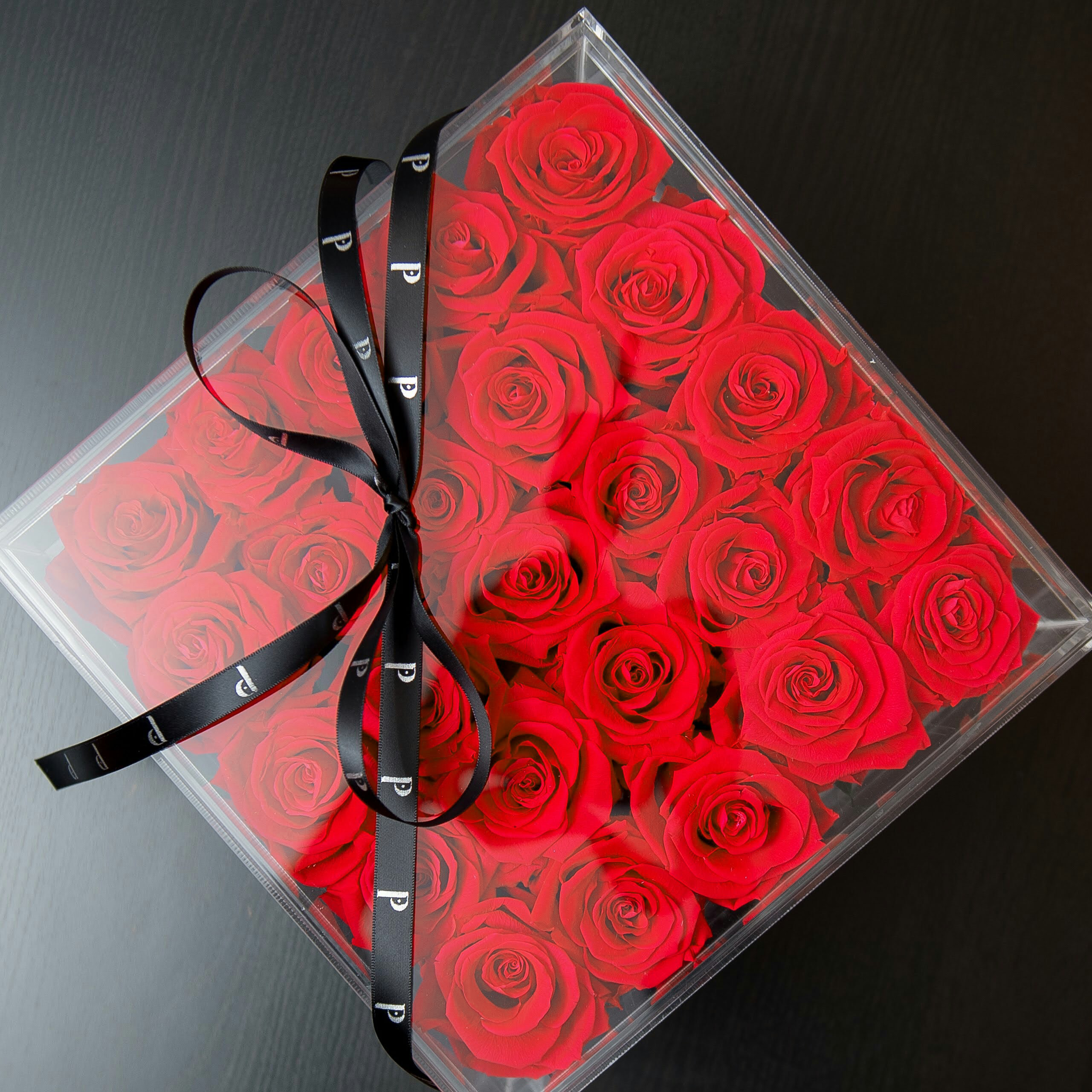 SRQ Modern Preserved | 25 Infinity Roses and Stems