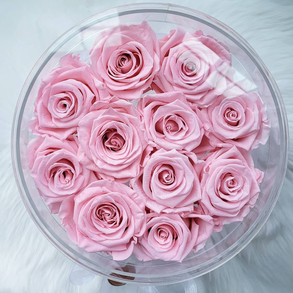 The Arden Preserved | Roses in a Round Box that Last a Year