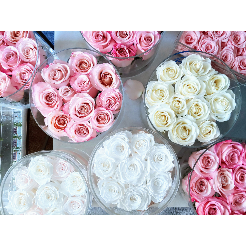 The Arden Preserved | Roses in a Round Box that Last a Year