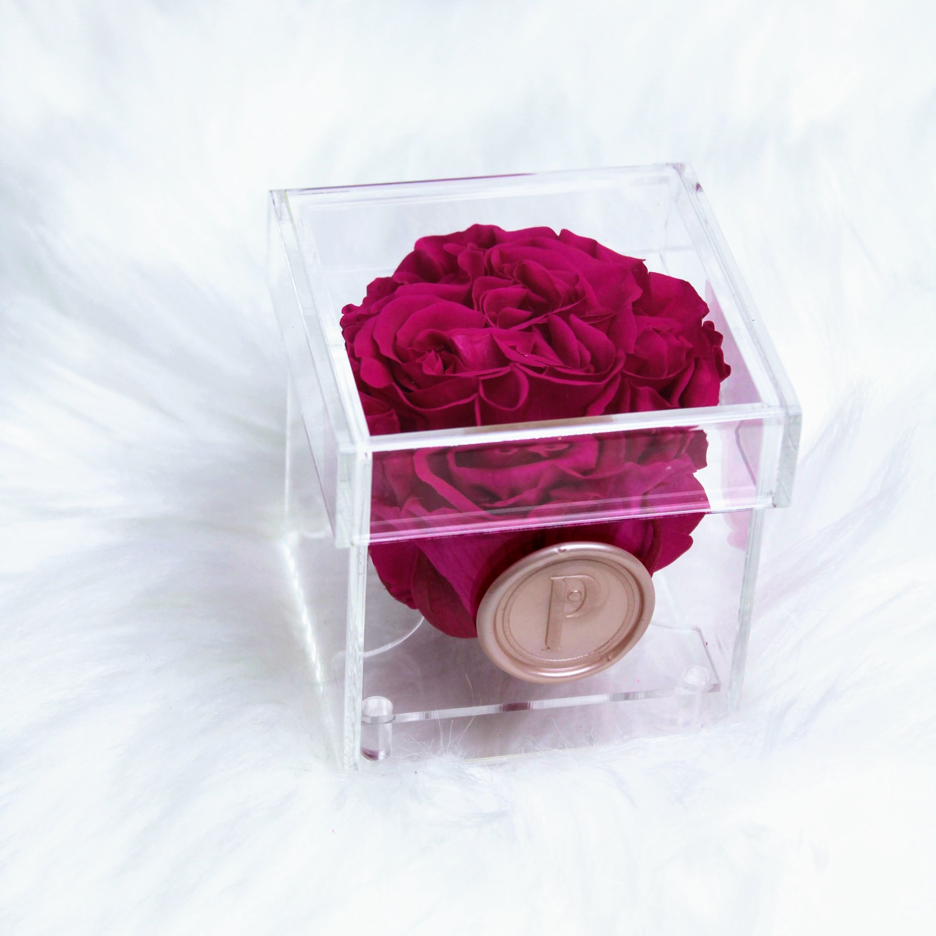 Sarasota Single Preserved Rose in a Box